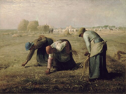 Des glaneuses